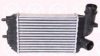 FIAT 0001307012080 Intercooler, charger